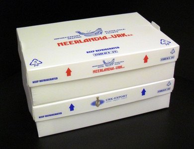 Corrugated Plastic Frozen Fish Box